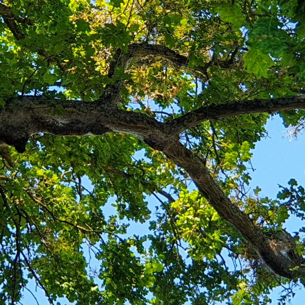 WhatsApp Image 2024-04-16 at 09.37.41